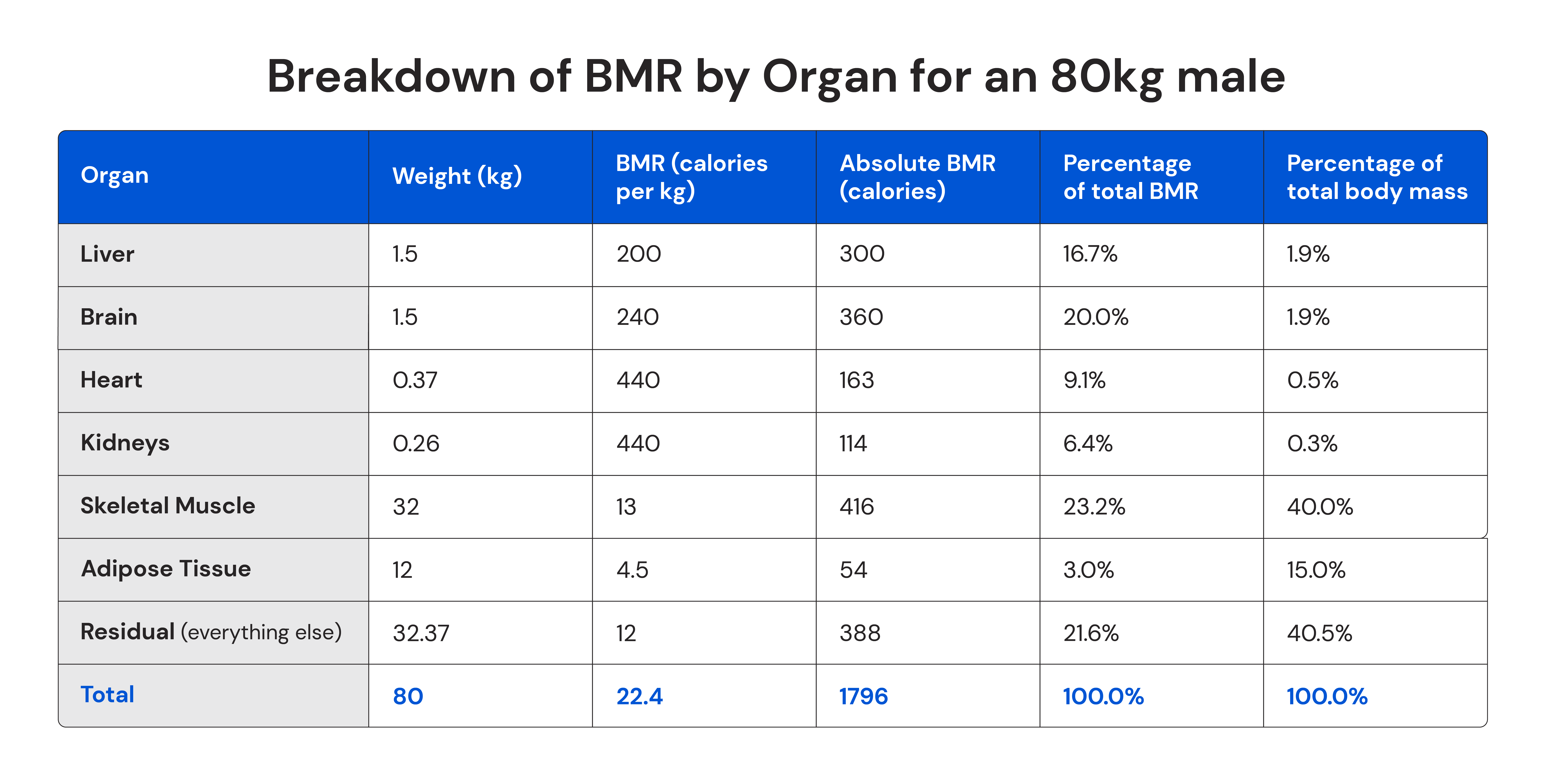 Breakdown of BMR by organ for an 80kg male