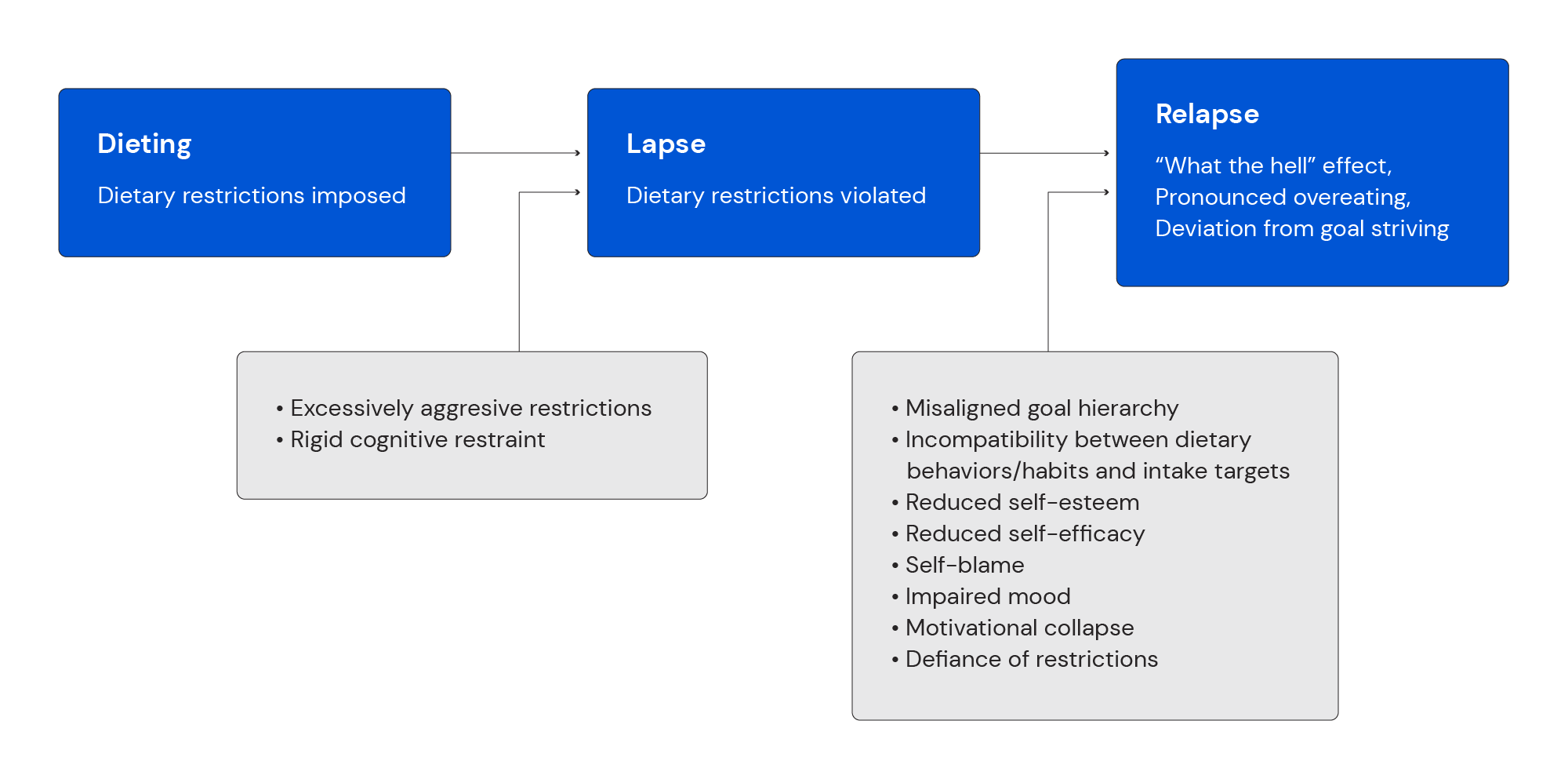 The processes by which the combination of dietary restriction, rigid cognitive restraint, and periodic “cheat meals” may lead to unfavorable psychological consequences and dietary “relapse.” 