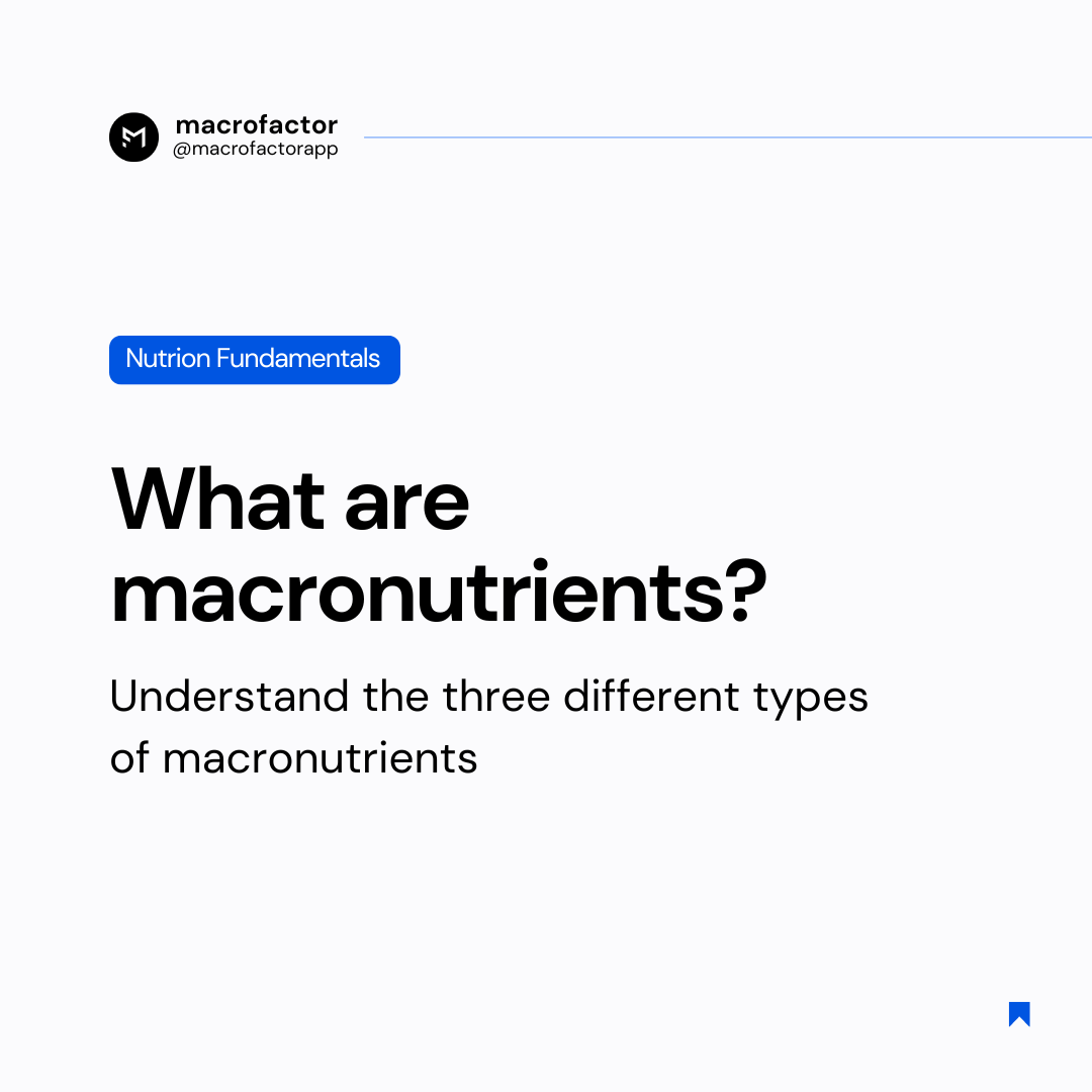 what are macronutrients?