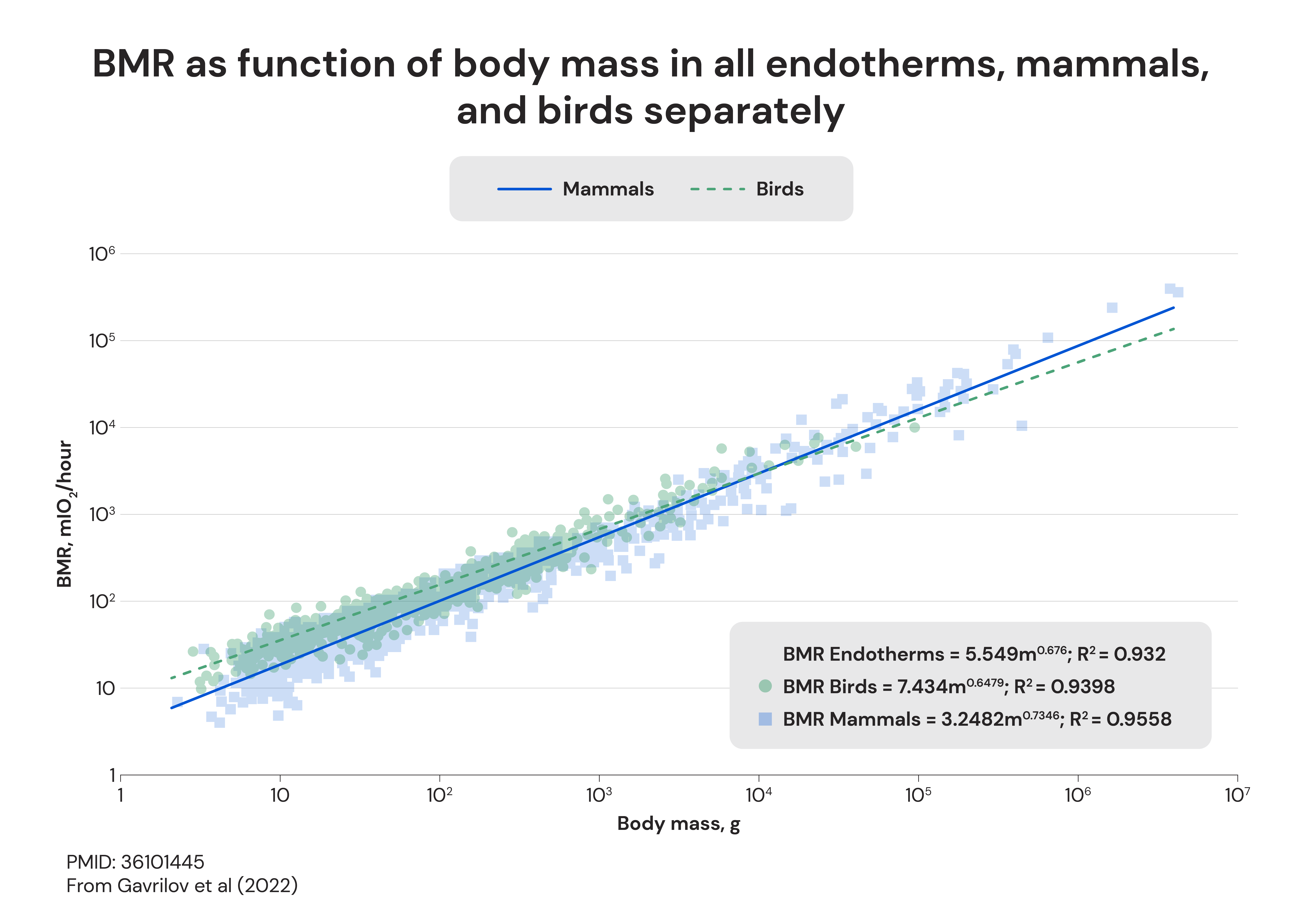 BMR as function of body mass in all endotherms, mammals, and birds