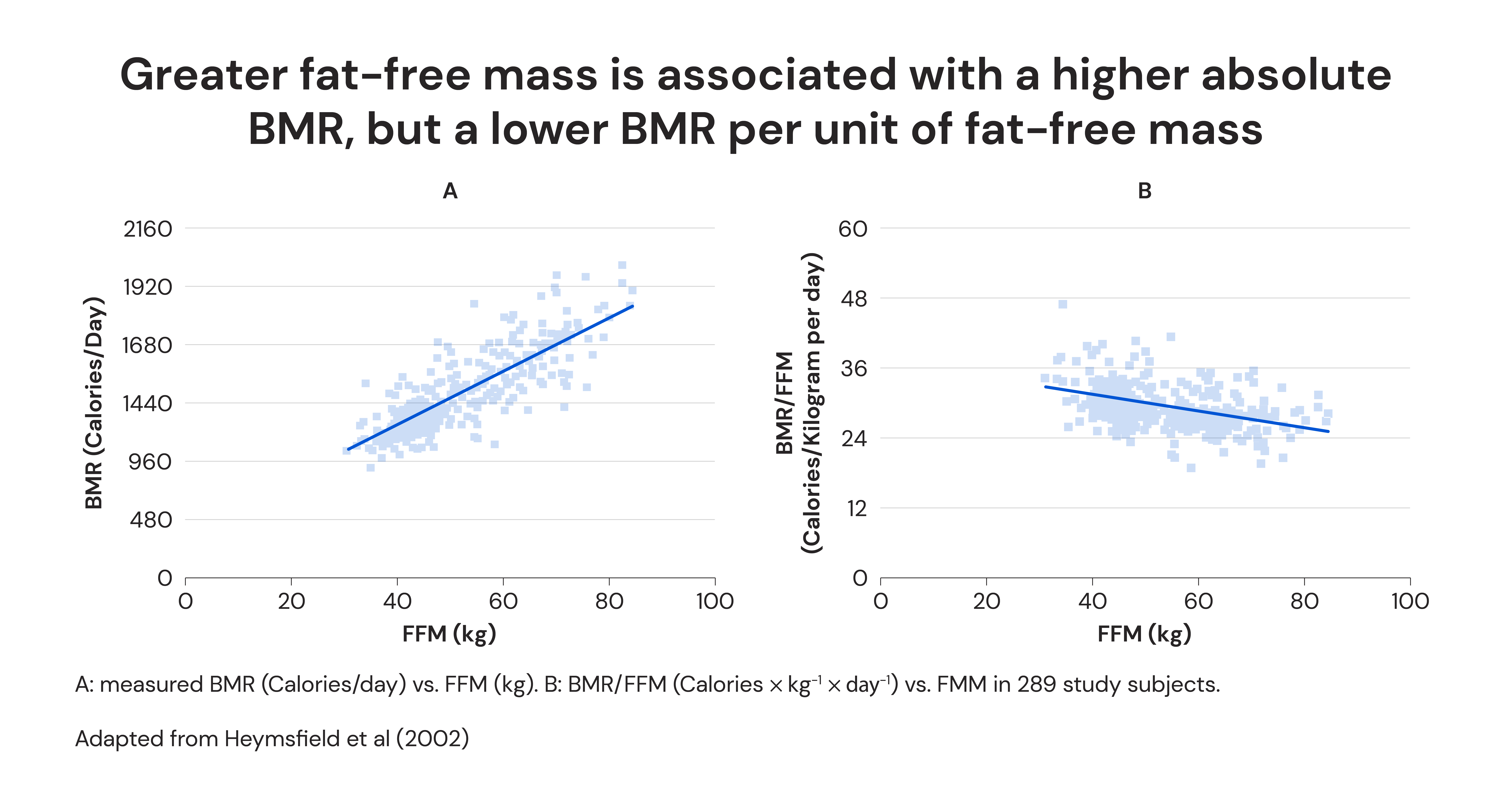 Greater fat-free mass is associated with a higher absolute BMR, but a lower BMR per unit of fat-free mass