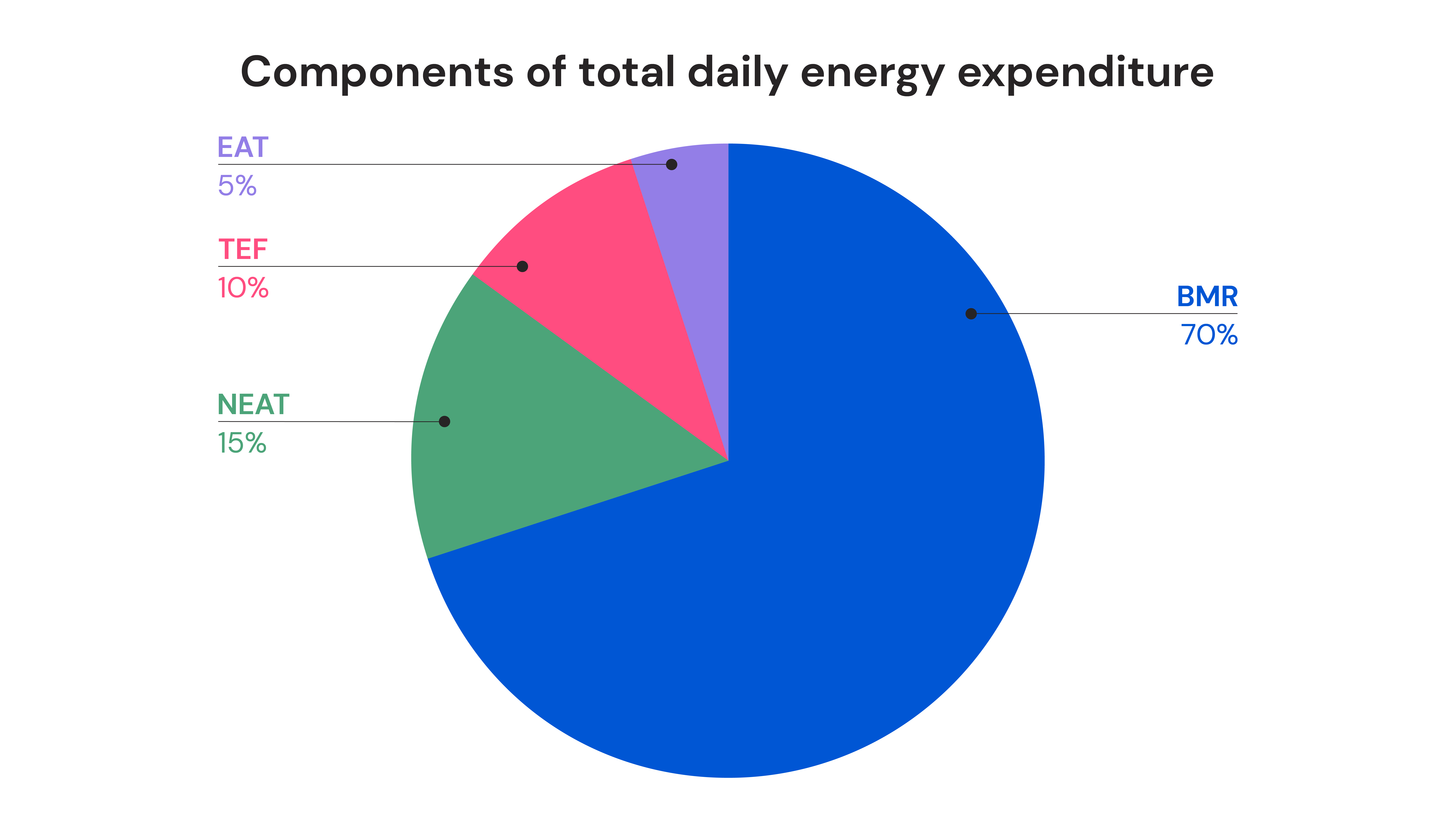 Components of total daily energy expenditure 