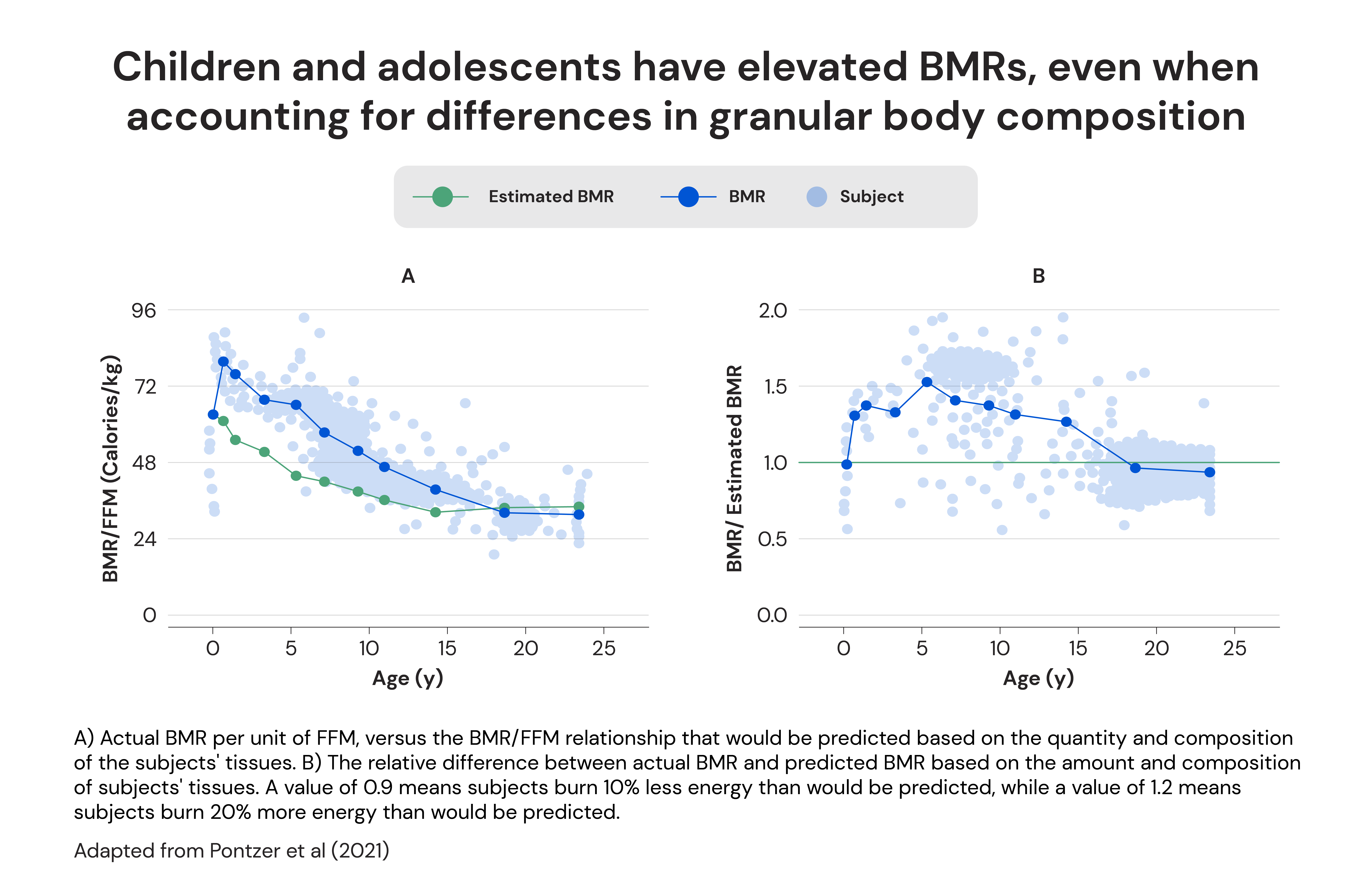 Children and adolescents have elevated BMRs, even when accounting for differences in granular body composition 