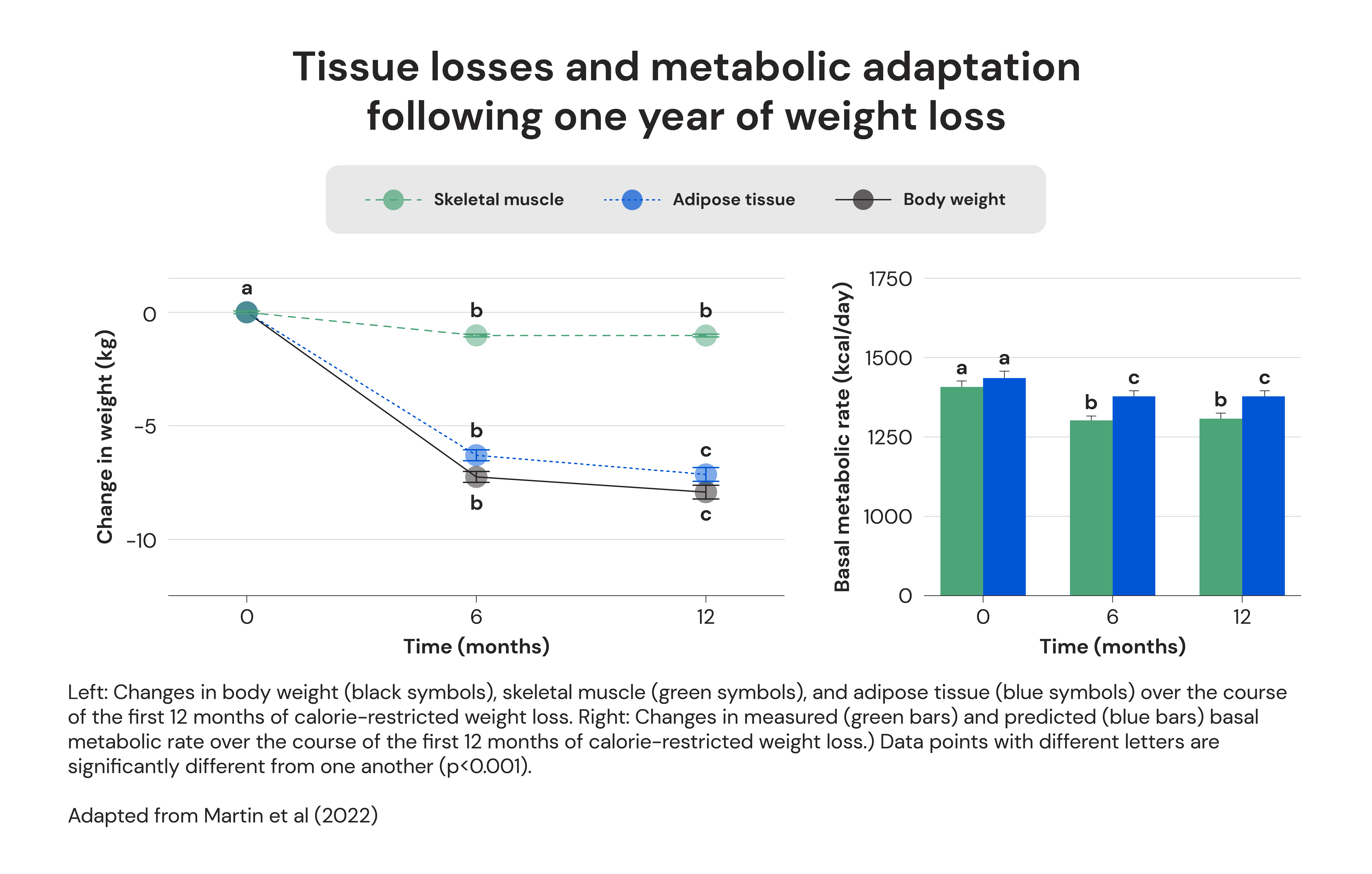 Tissue losses and metabolic adaptation following one year of weight loss