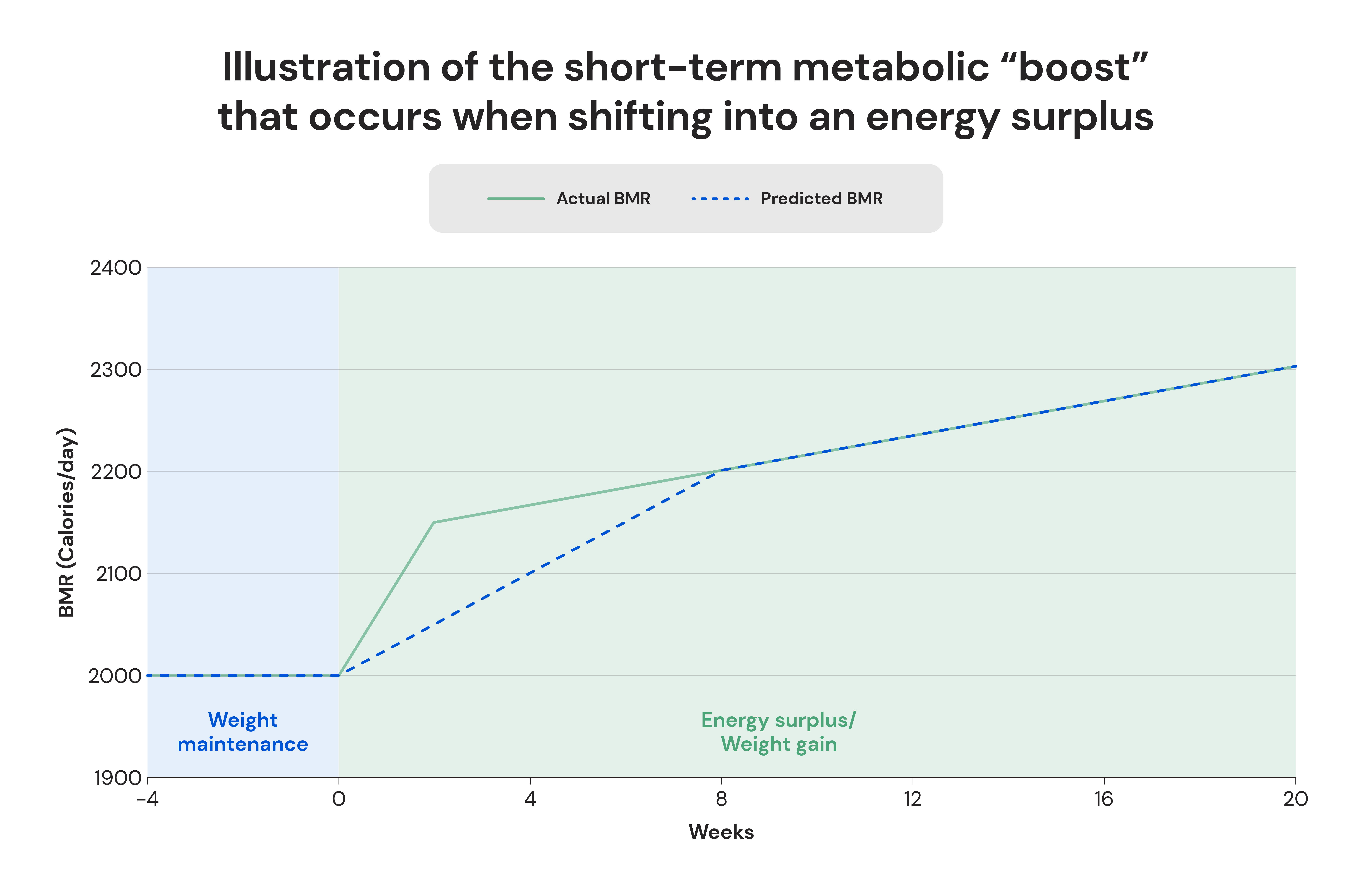 Illustration of the short-term metabolic "boost" that occurs when shifting into aa energy surplus