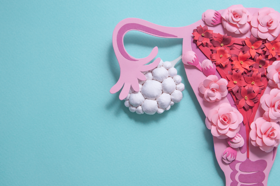 MacroFactor featured images