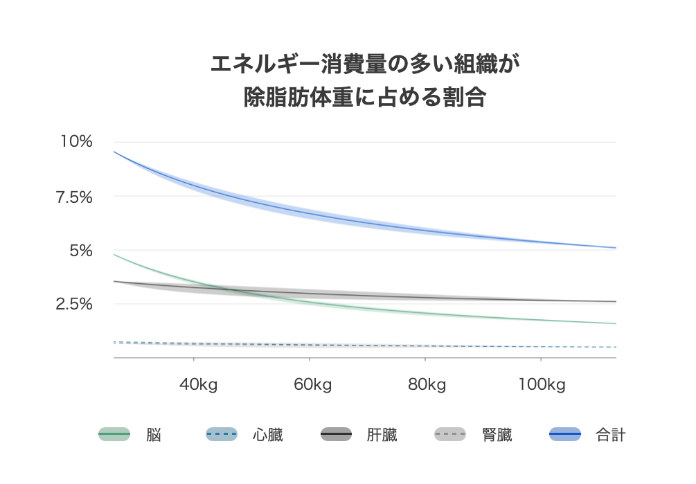 グラフ：エネルギー消費量の多い組織が除脂肪体重に占める割合