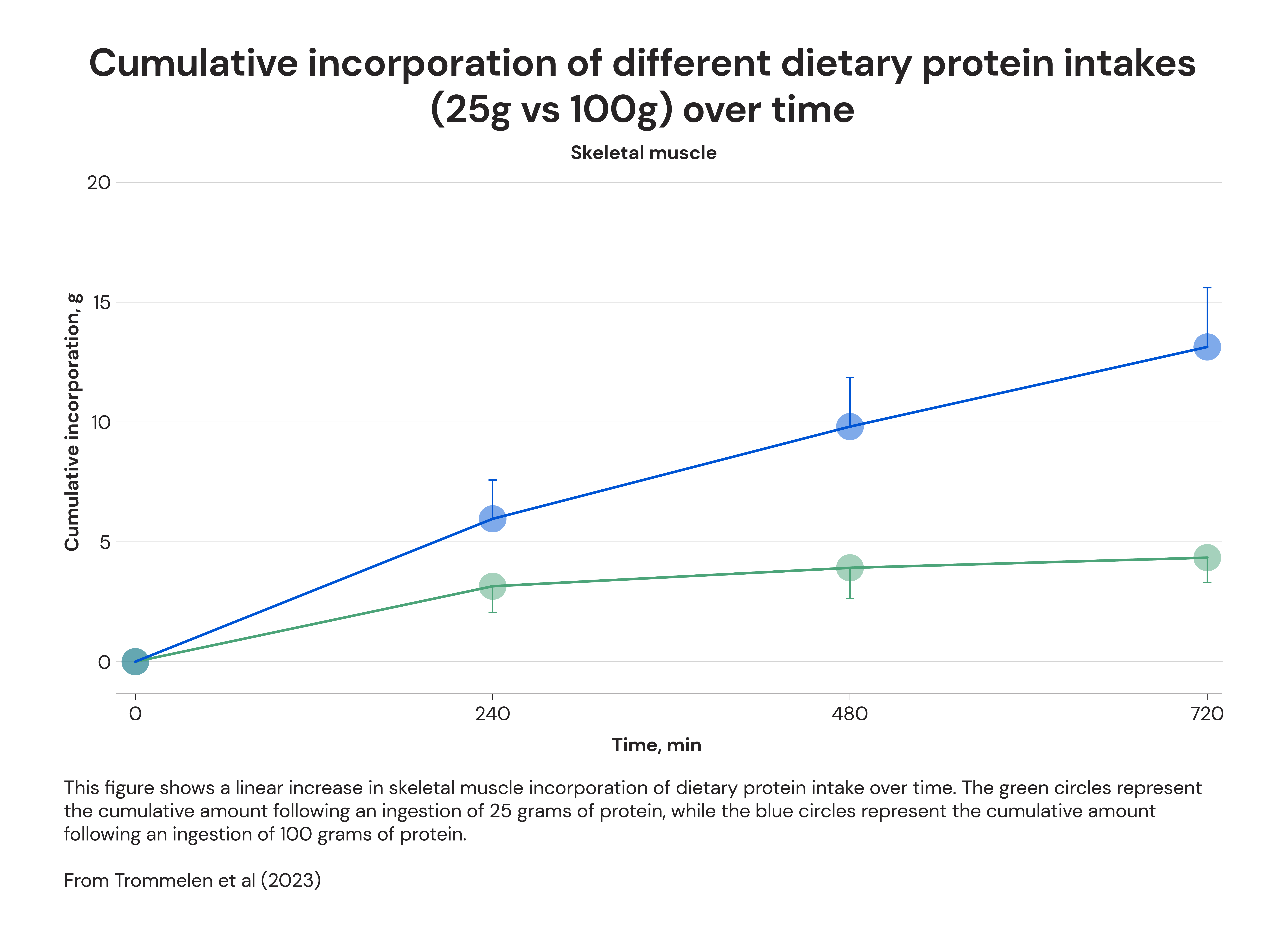 Cumulative incorporation of different dietary protein intakes (25 vs 100g) over time