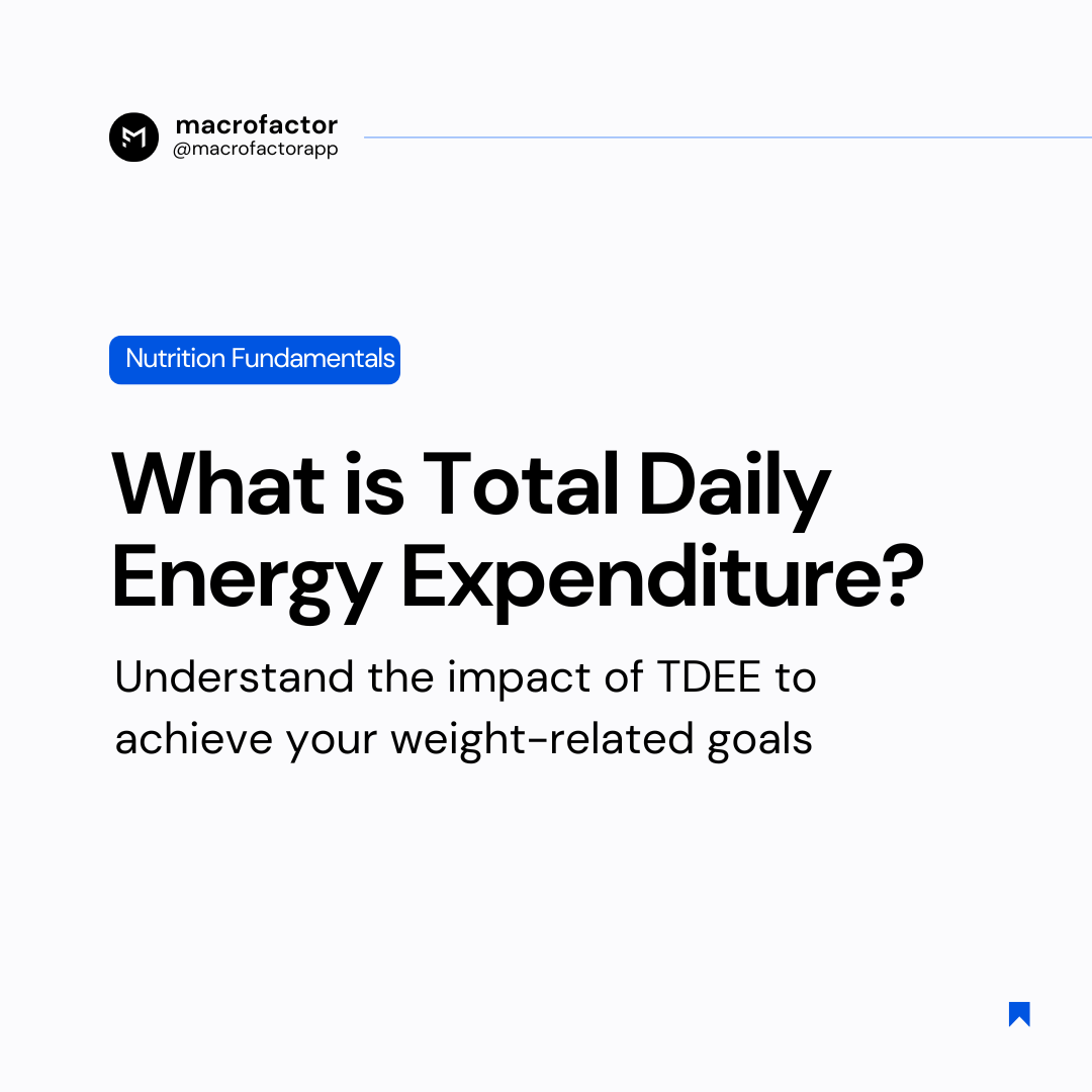 what is total daily energy expenditure