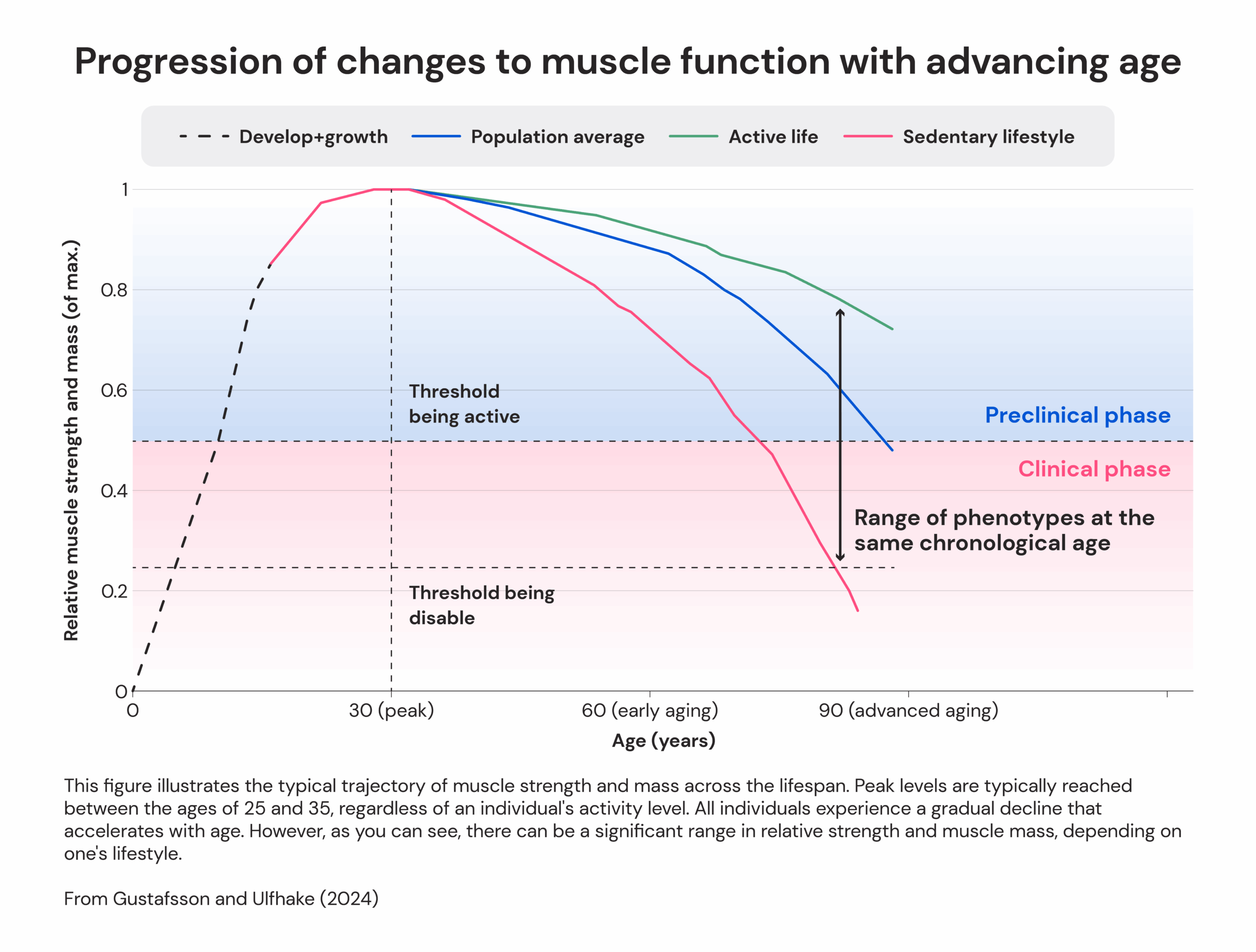 Progression of changes to muscle function with advancing age