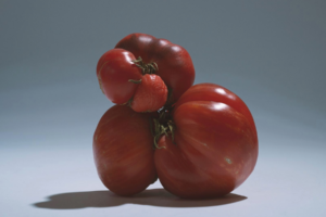 MacroFactor featured images